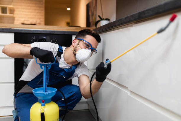 Best Affordable Pest Control Services  in Huntland, TN