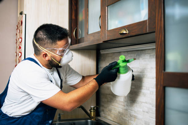 Best Wasp Removal Services  in Huntland, TN