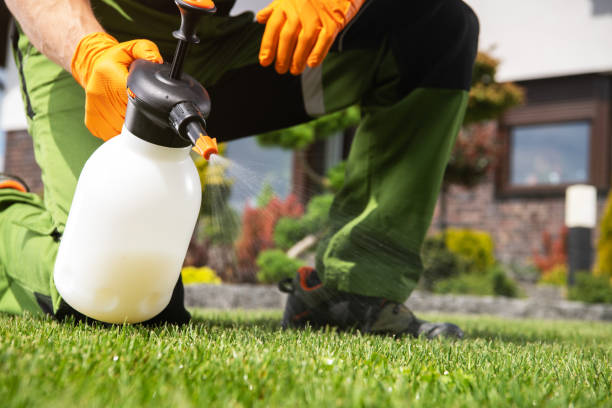 Best Flea Control Services  in Huntland, TN